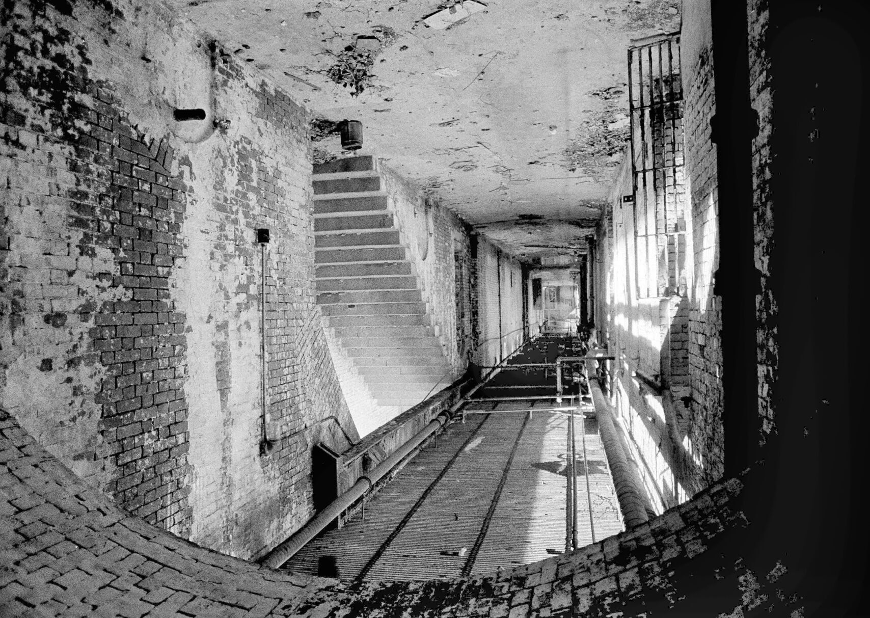 Trump Alcatraz